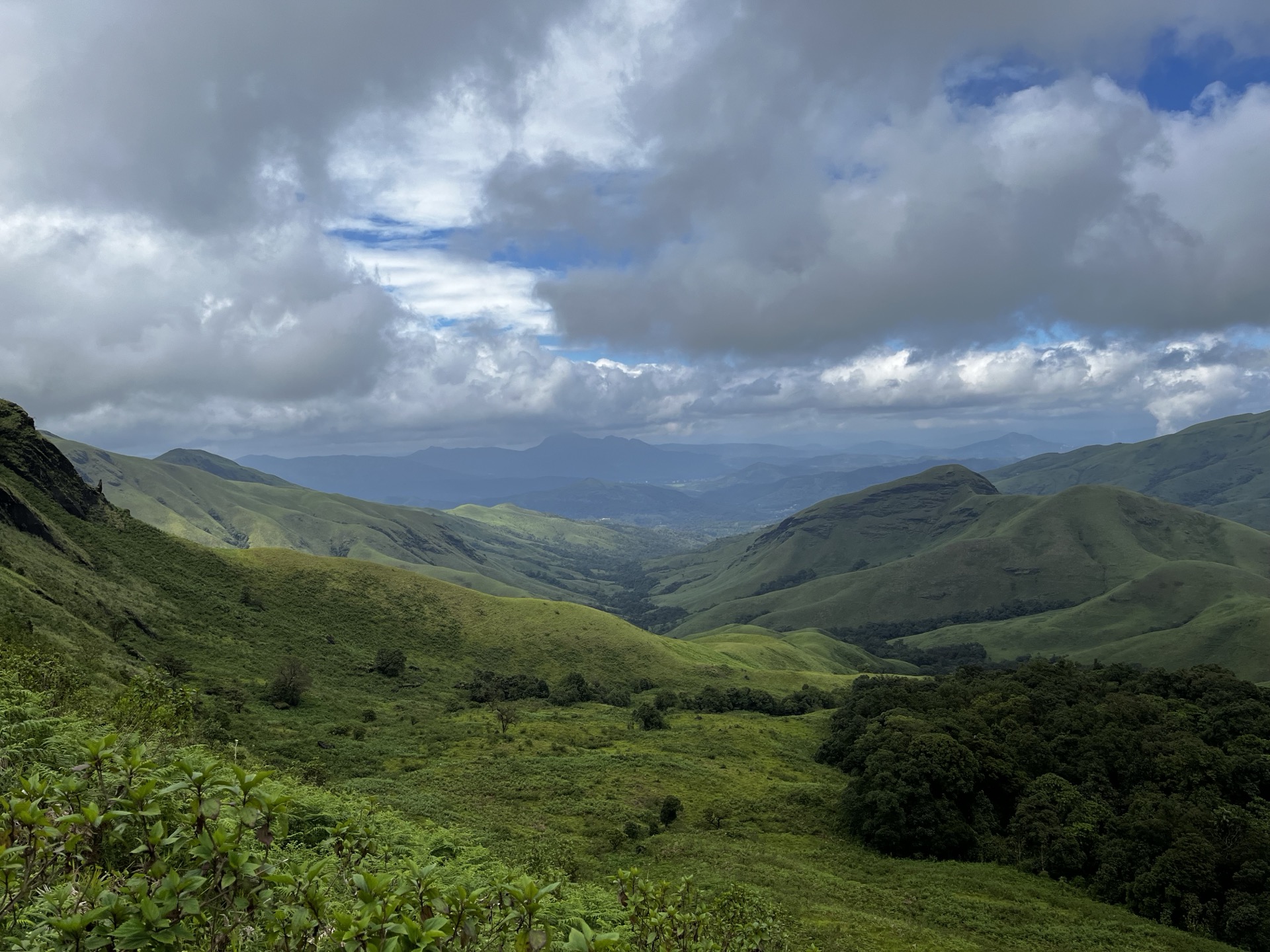 Landscape view